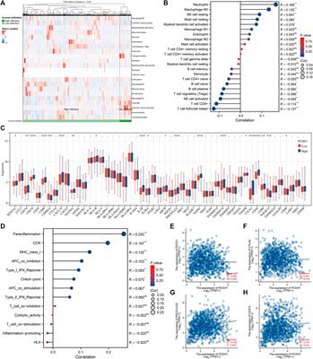 Integrative analysis illustrates the role of PCDH7 in lung cancer development, cisplatin resistance, and immunotherapy resistance: an underlying target